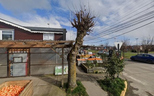 Frutería y Verdulería El Talquino