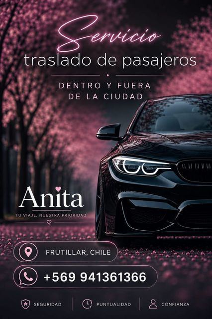 Anita - Traslado de pasajeros en Frutillar